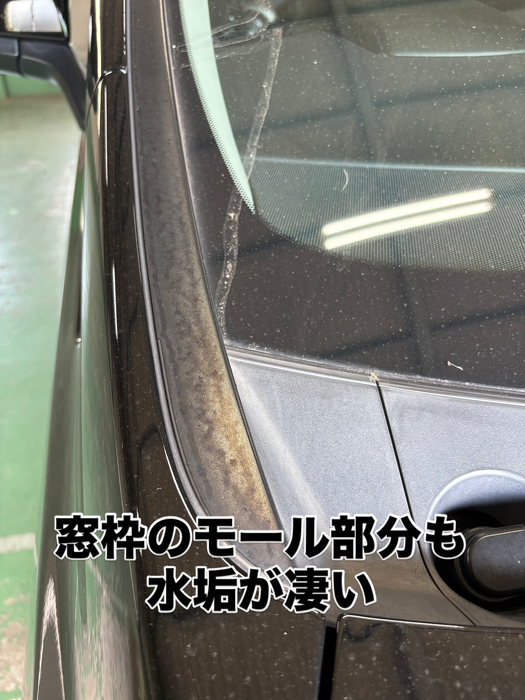 画像491