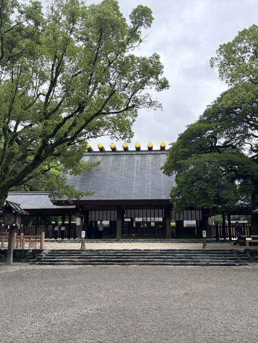 画像831