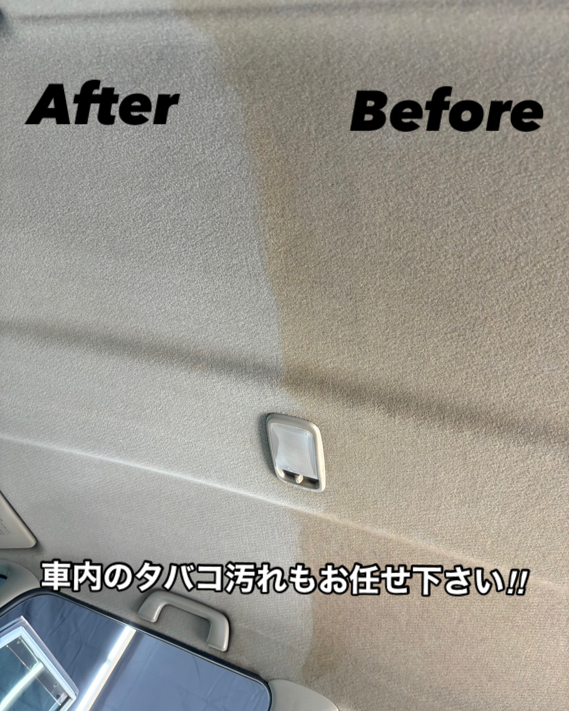low_bg6